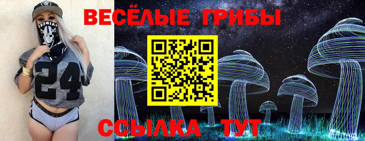 Рославль  Псилоцибиновые грибы мицелий  Вход с VPN 